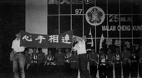 照片4